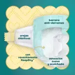 GTIN-0037000828426-04