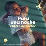 GTIN-0037000828426-07