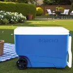 GTIN-0034223344825-05