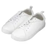 GTIN-8444202503174-03