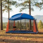 GTIN-6972184076321-07