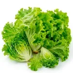 GTIN-0000000040761-01