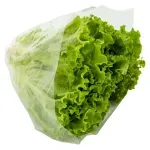 GTIN-0000000040761-02