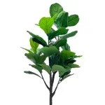 GTIN-6974221246629-02