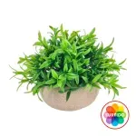 GTIN-6974221247879-01