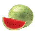 GTIN-0000000073462-01