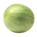 GTIN-0000000073462-02