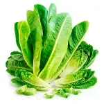 GTIN-0000000078092-01