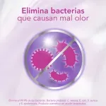GTIN-7509546067919-02