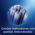 GTIN-7500435170987-03