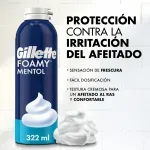 GTIN-3014260273910-02