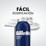 GTIN-3014260273910-08